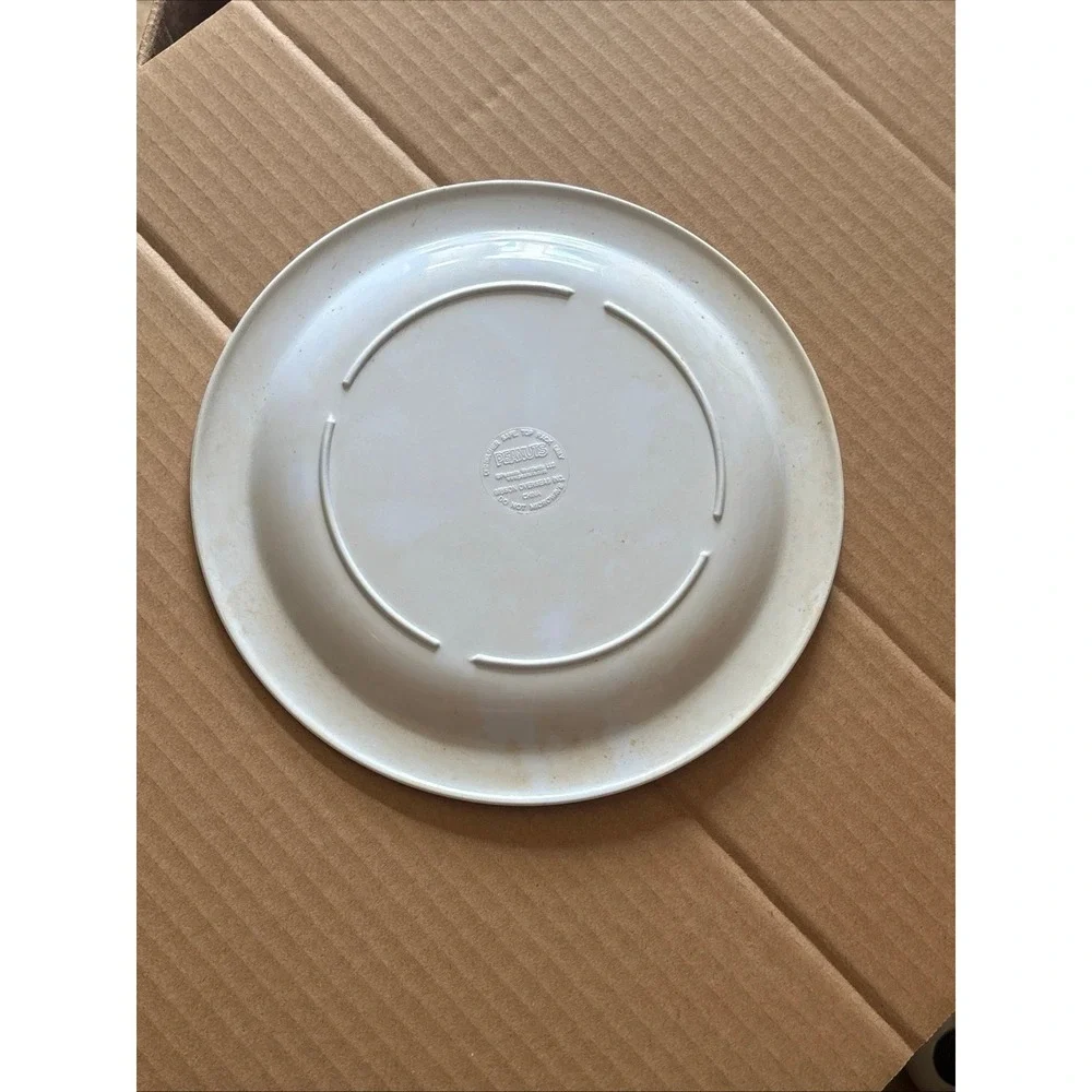 Snoopy woodstock plate